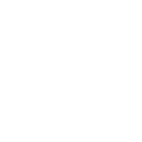 Professionalism Icon